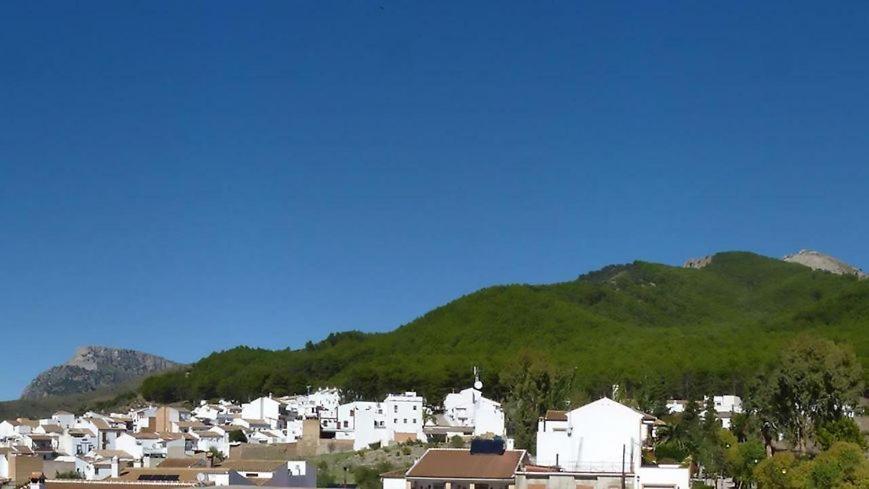 Hostal El Pinar มอนเตกอร์โต ภายนอก รูปภาพ